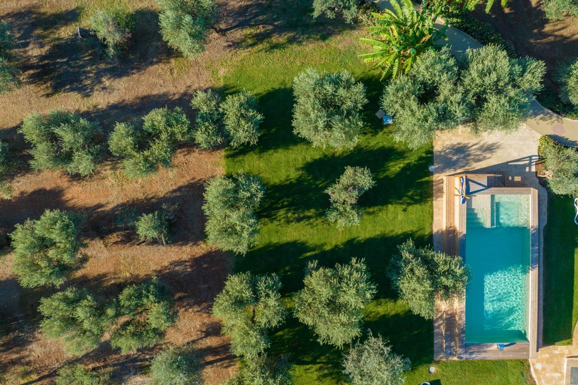 Dimora Tenuta Solentino Torre San Giovanni Exterior foto