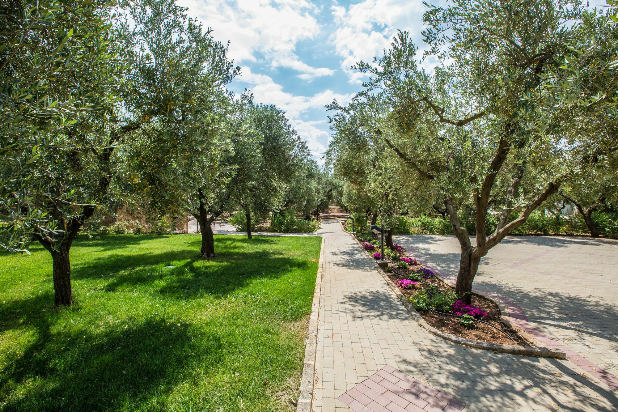 Dimora Tenuta Solentino Torre San Giovanni Exterior foto